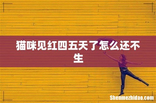 猫咪见红四五天了怎么还不生