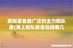 海上舰队都是包括哪几种战舰？ 舰艇装备最广泛的主力舰队是