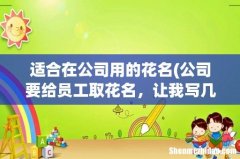 公司要给员工取花名，让我写几个花名方案，实在想不出，大家有没有推荐的？ 适合在公司用