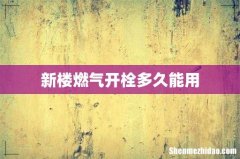 新楼燃气开栓多久能用