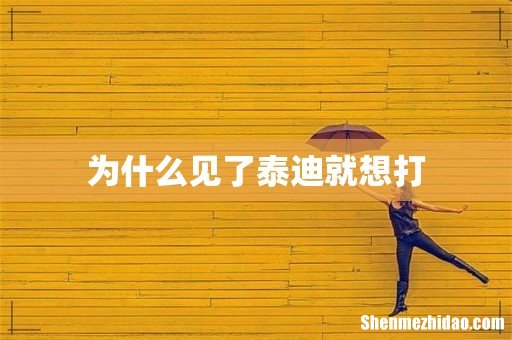为什么见了泰迪就想打