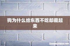 狗为什么给东西不吃却藏起来