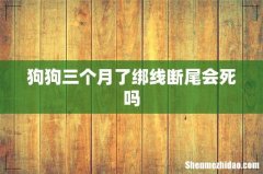狗狗三个月了绑线断尾会死吗