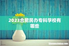 2023合肥民办专科学校有哪些