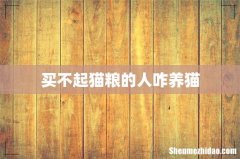 买不起猫粮的人咋养猫