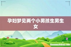 孕妇梦见两个小男孩生男生女