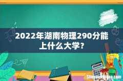 2022年湖南物理290分能上什么大学？