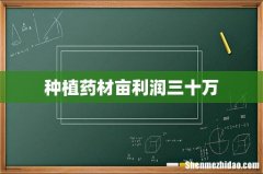 种植药材亩利润三十万