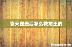 袁天罡最后怎么救龙王的