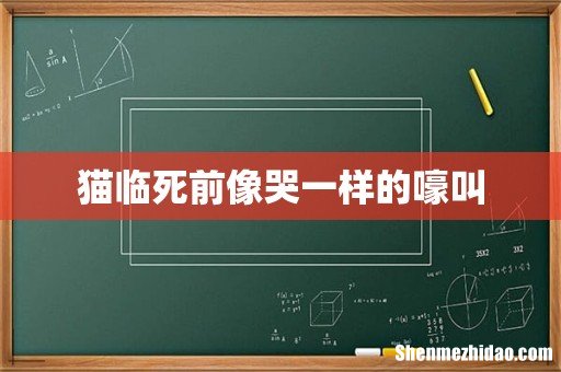 猫临死前像哭一样的嚎叫