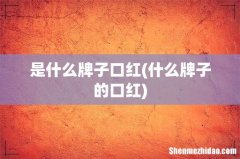 什么牌子的口红 是什么牌子口红