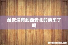 延安没有到西安北的动车了吗