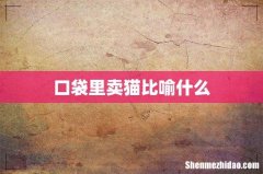 口袋里卖猫比喻什么