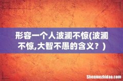 波澜不惊,大智不愚的含义？ 形容一个人波澜不惊
