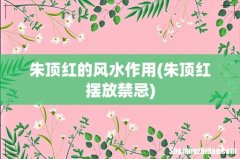 朱顶红摆放禁忌 朱顶红的风水作用