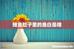 鲤鱼肚子里的鱼白是啥