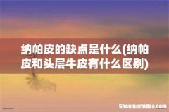 纳帕皮和头层牛皮有什么区别 纳帕皮的缺点是什么
