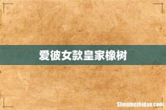 爱彼女款皇家橡树