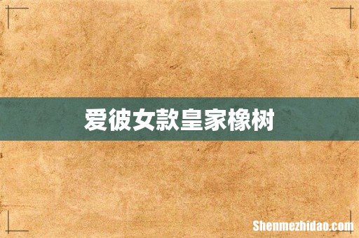 爱彼女款皇家橡树