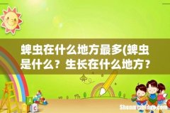 蜱虫是什么？生长在什么地方？这种虫吃什么东西的 蜱虫在什么地方最多