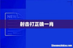 射击打正确一肖