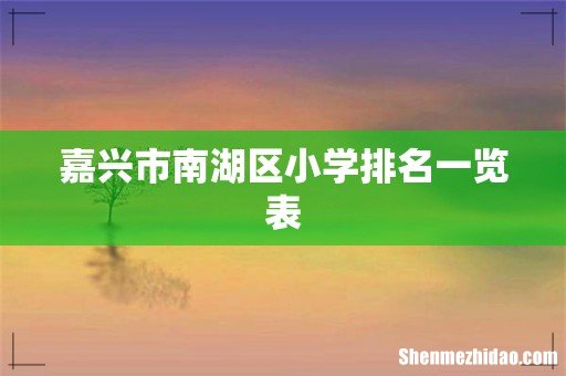 嘉兴市南湖区小学排名一览表