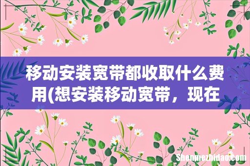 想安装移动宽带,现在一年多少钱? 移动安装宽带都收取什么费用