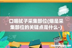 烟是采集部位的关键点是什么- 口咽拭子采集部位