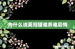 为什么说英短猫谁养谁后悔