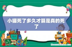 小猫死了多久才算是真的死了