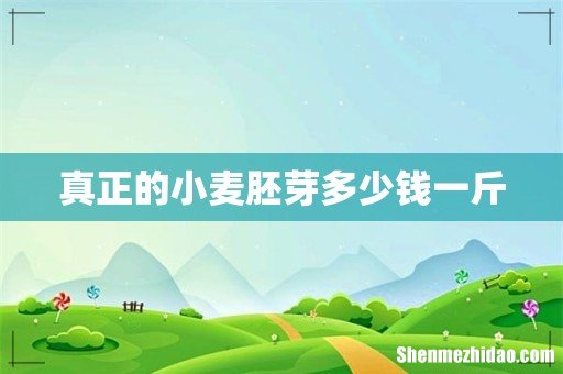 真正的小麦胚芽多少钱一斤