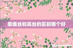 桑蚕丝和真丝的区别哪个好