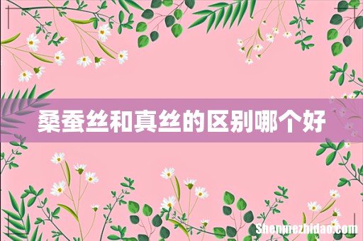 桑蚕丝和真丝的区别哪个好