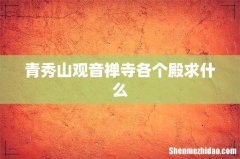 青秀山观音禅寺各个殿求什么