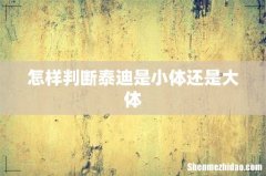 怎样判断泰迪是小体还是大体