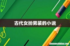 古代女扮男装的小说