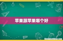 苹果跟苹果哪个好
