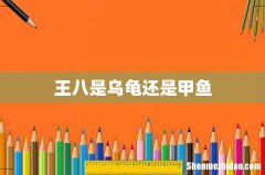 王八是乌龟还是甲鱼