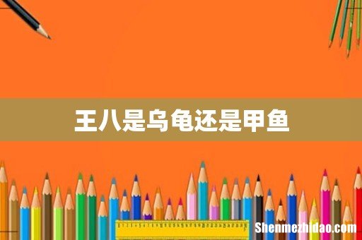 王八是乌龟还是甲鱼