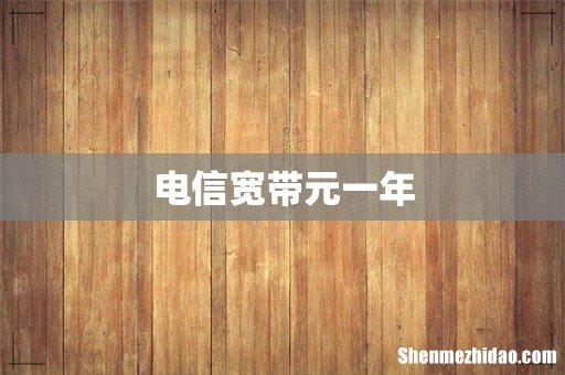 电信宽带元一年