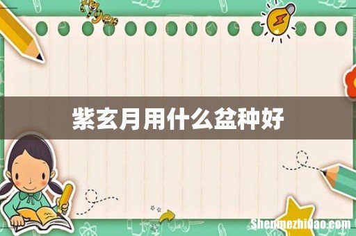 紫玄月用什么盆种好