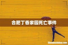 合肥丁香家园死亡事件