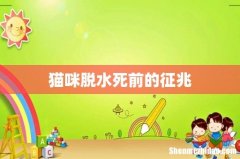 猫咪脱水死前的征兆