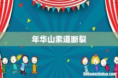 年华山索道断裂