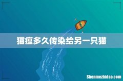 猫瘟多久传染给另一只猫