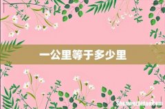 一公里等于多少里
