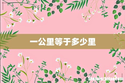 一公里等于多少里