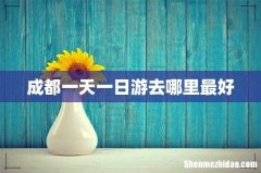 成都一天一日游去哪里最好