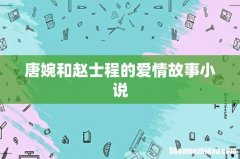 唐婉和赵士程的爱情故事小说