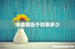 净值相当于利率多少